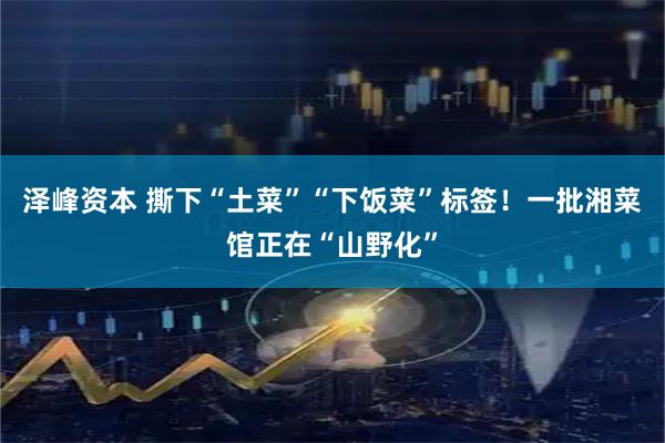 泽峰资本 撕下“土菜”“下饭菜”标签！一批湘菜馆正在“山野化”