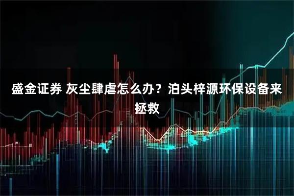 盛金证券 灰尘肆虐怎么办？泊头梓源环保设备来拯救